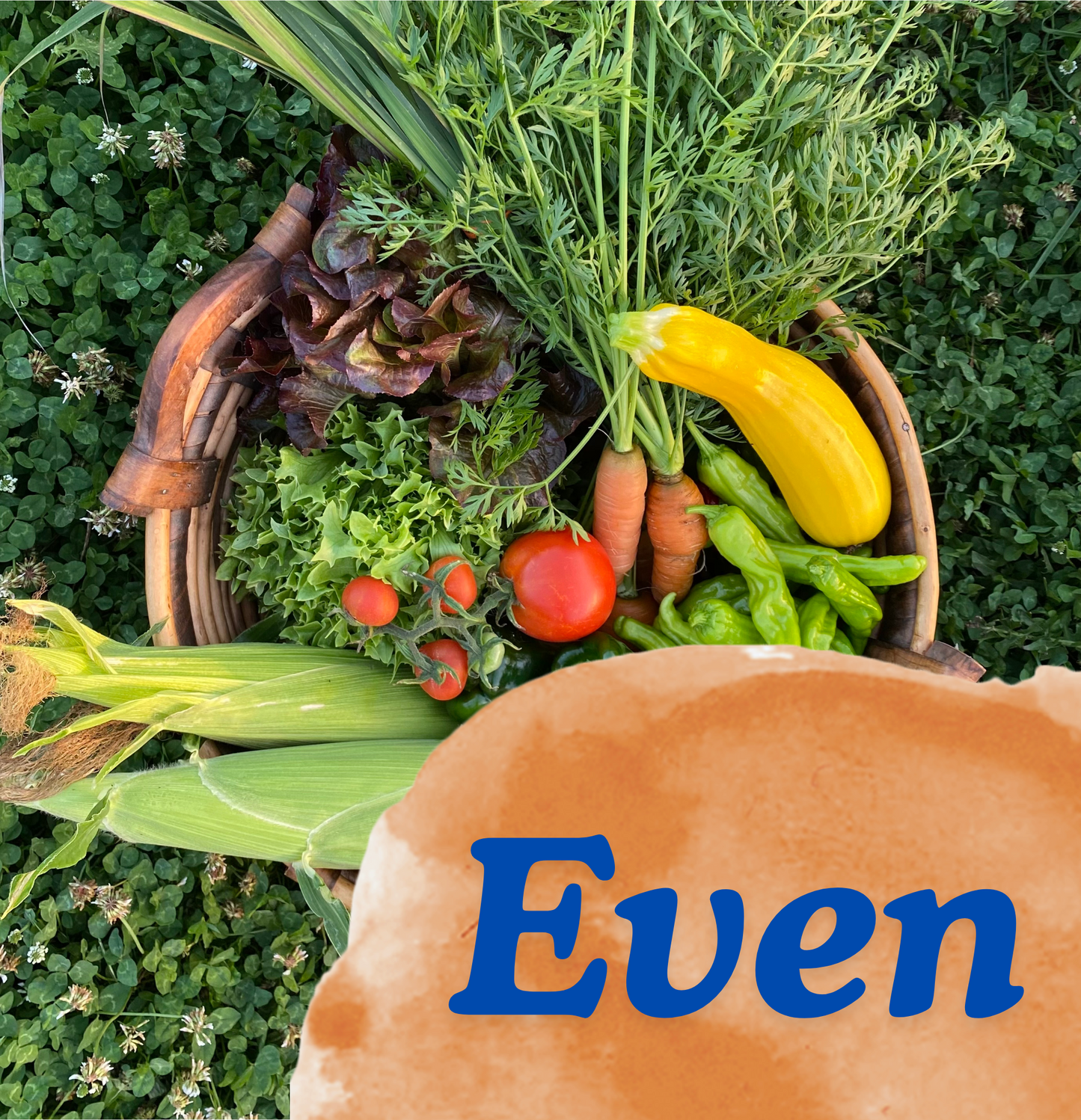 Even Week CSA