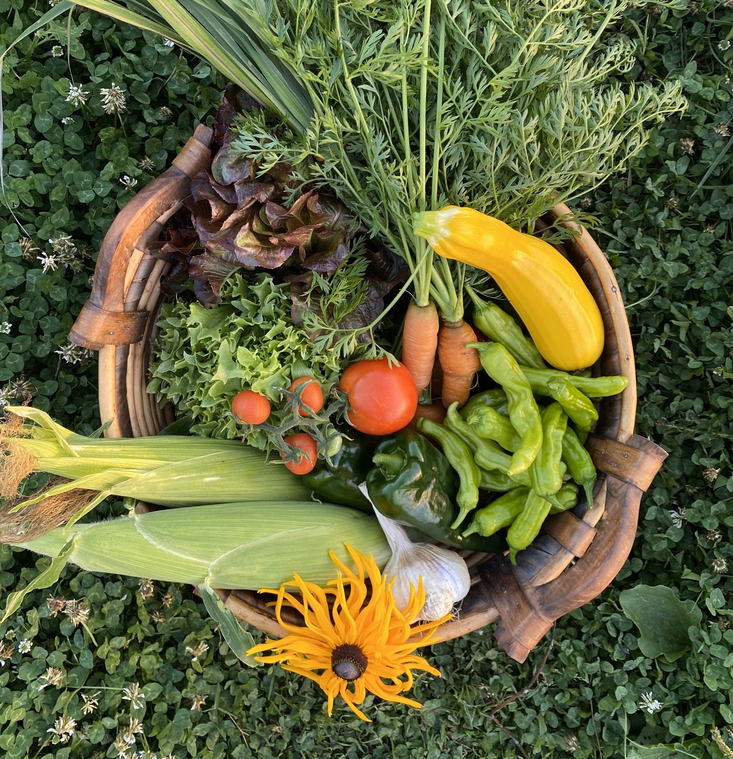 Every Week CSA