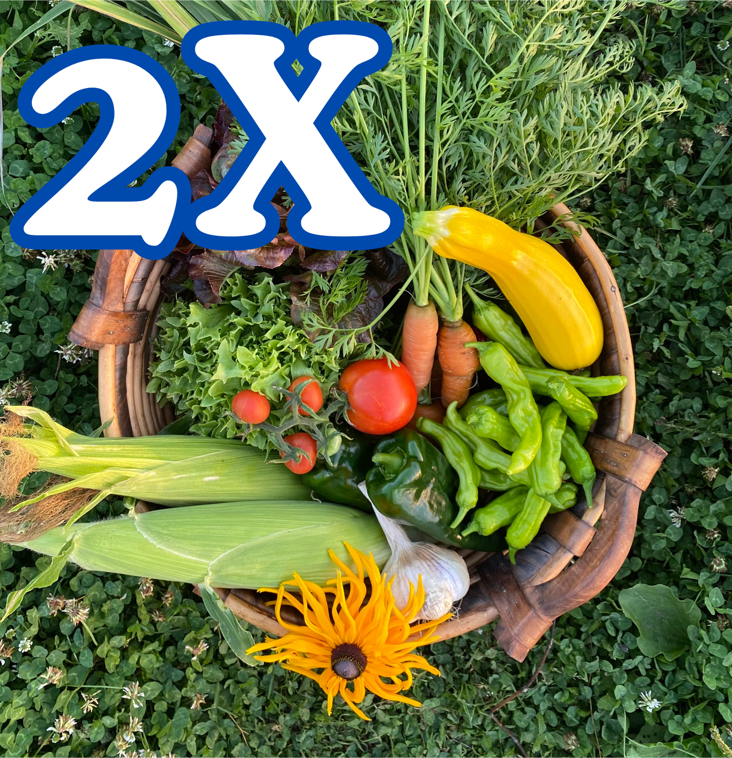 2026 Double CSA