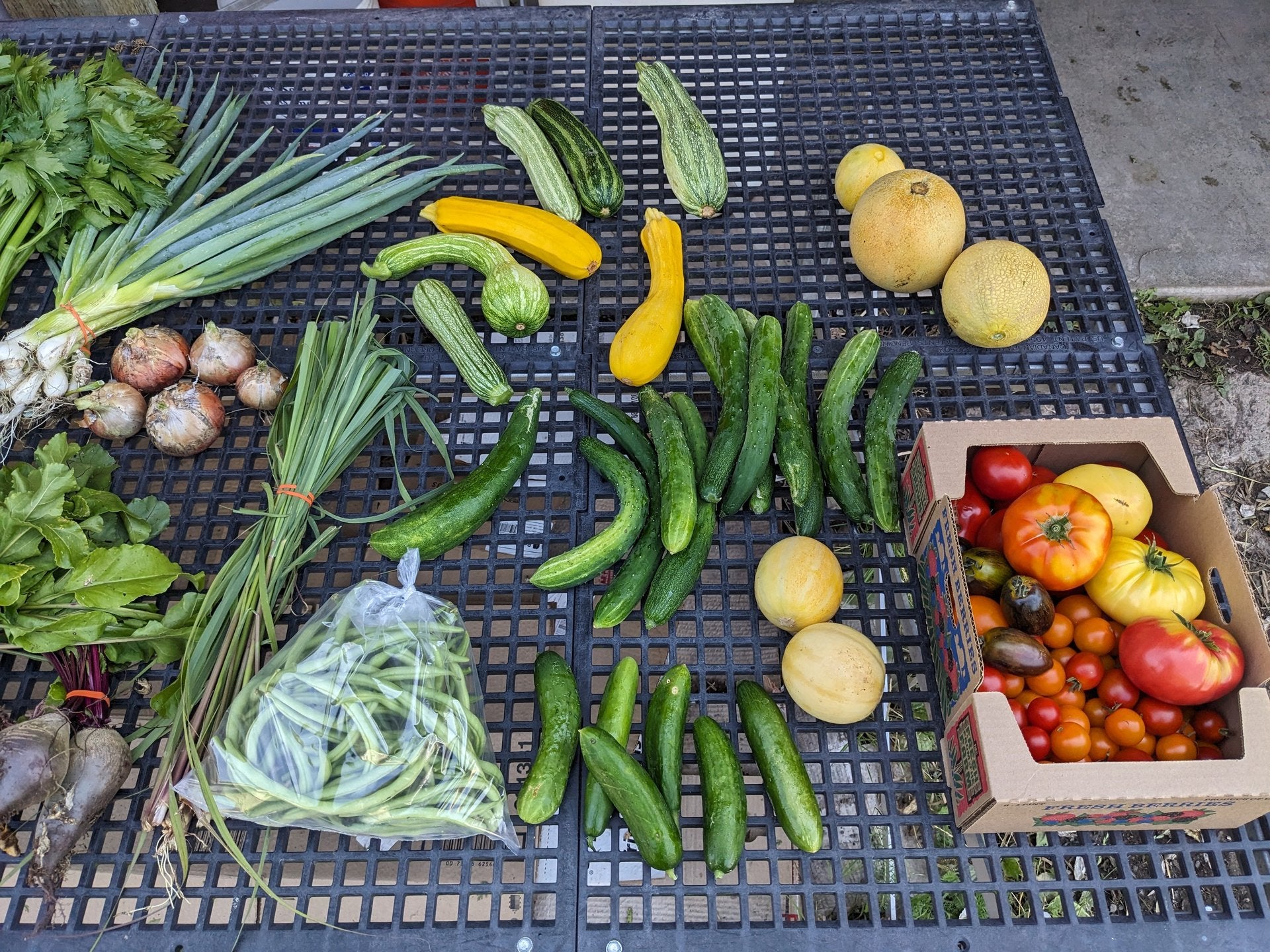 PXL_20230825_210310723